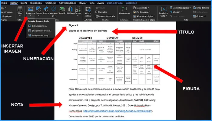 Hacer un Trabajo de Formato APA en Word 2026