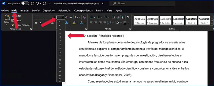 Formato APA: Tamaño de Fuente | apa.org.es