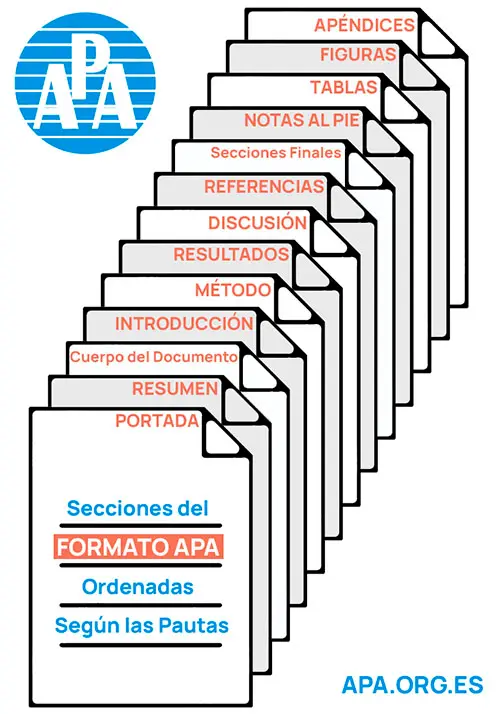Orden de Secciones en un Formato APA (Pautas de Estilo y Gramática) | apa.org.es